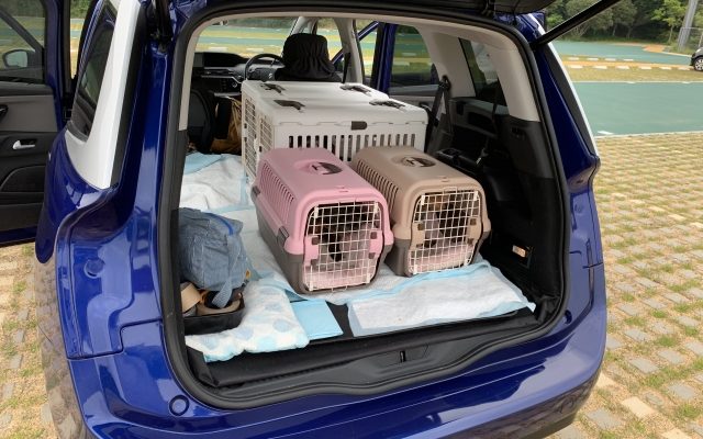 株式会社ジャストライト浪岡智がお送りするペットの車酔いのイメージ画像