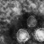 株式会社ジャストライト浪岡智がお送りするコロナウィルスのニュースのイメージ画像