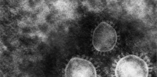 株式会社ジャストライト浪岡智がお送りするコロナウィルスのニュースのイメージ画像