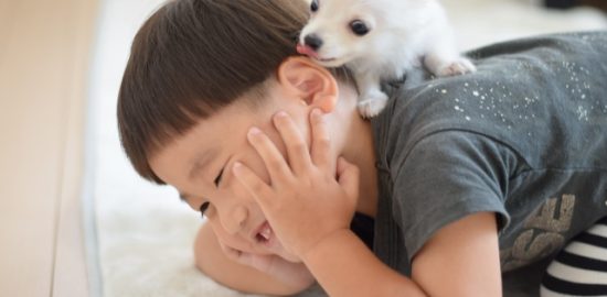 株式会社ジャストライト浪岡 智がお送りする四字熟語の「口耳之学」についてのイメージ画像