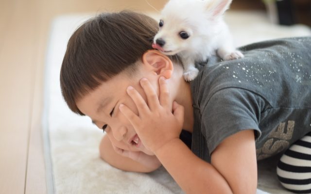 株式会社ジャストライト浪岡 智がお送りする四字熟語の「口耳之学」についてのイメージ画像