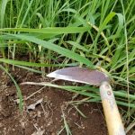 株式会社ジャストライト浪岡 智がお送りする日本農業新聞の「福岡県の福田さん」の記事についてのイメージ画像