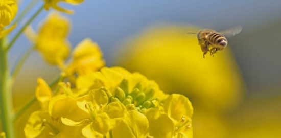 株式会社ジャストライト浪岡 智がお送りする日本農業新聞の「農福」の記事についてのイメージ画像