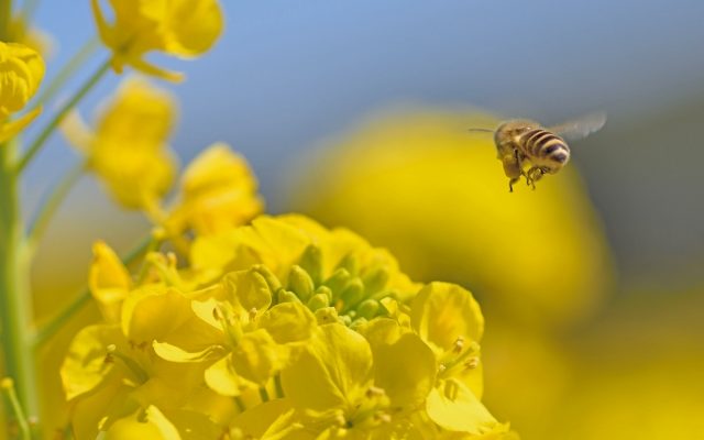 株式会社ジャストライト浪岡 智がお送りする日本農業新聞の「農福」の記事についてのイメージ画像